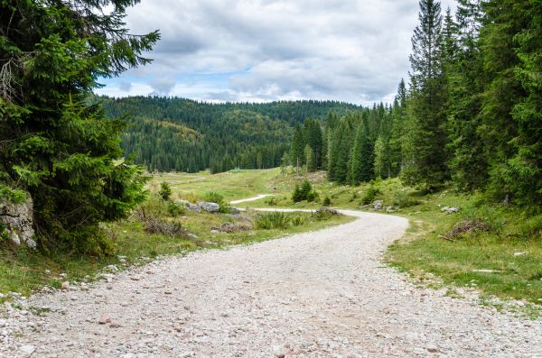 Cost of Gravel Road Grading in Pataskala