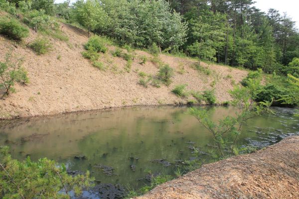 Pond Erosion Repair in Pataskala
