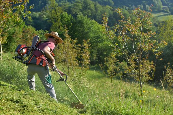 Cost of Slope Trimming in Pataskala