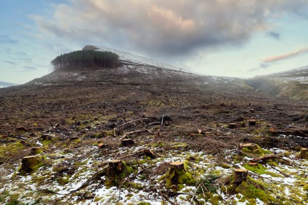 Hill Removal in Pataskala